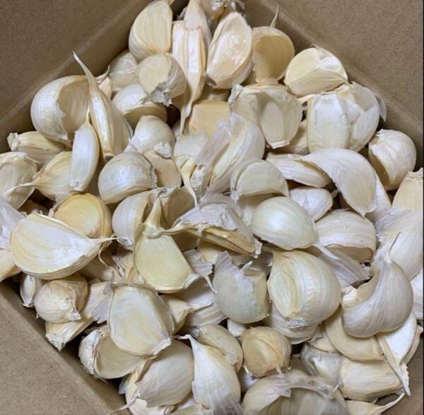 バラにんにく700g 青森県産にんにく 国産にんにく ホワイト六片種にんにく 大中小粒混合 厳選にんにく
