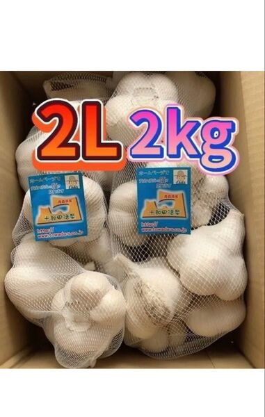 青森県産にんにく 2Lサイズ2キロ 国産にんにく ホワイト六片種にんにく 黒にんにく最適 種用にんにく 大玉にんにく
