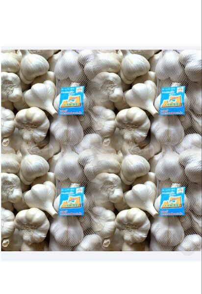 2025年新物にんにく Lサイズ 青森県産にんにく4キロ 訳あり B品 ホワイト六片種にんにく 乾燥済み 青森県産 生にんにく