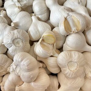 にんにく2キロ Mサイズ 青森県産にんにく ホワイト六片種にんにく 訳ありにんにく にんにく