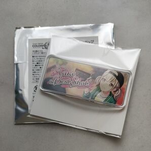 プロセカ 小豆沢こはね アクリルバナーバッジコレクション vol.15A Take the Best Shot! ビビバス