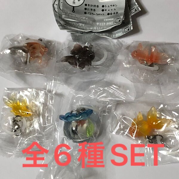 雨空金魚めじるしアクセサリー全6種SET