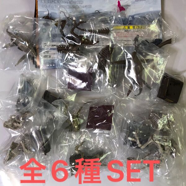 NATURE TECHNI COLOURネイチャーテクニカラー古生物全6種SET
