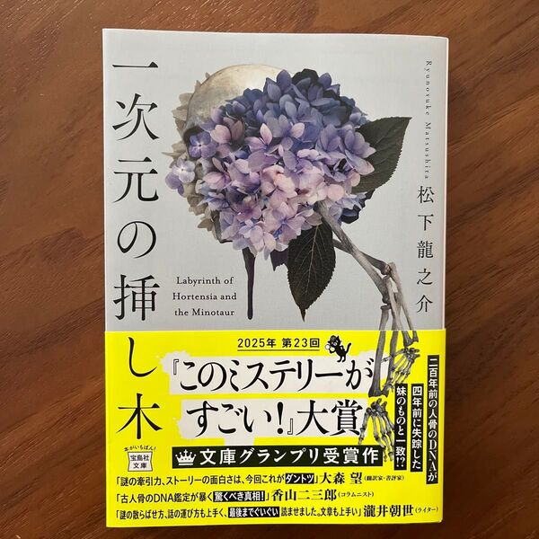 一次元の挿し木 (宝島社文庫 Cま-5-1 このミス大賞) 松下龍之介/著