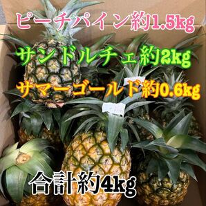 石垣島産パイナップル3種セット【ピーチパイン・サンドルチェ・サマーゴールド】合計約4.0kg