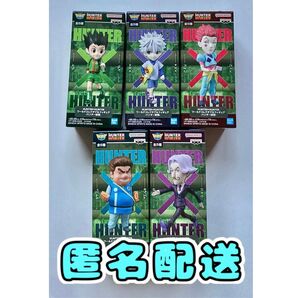 HUNTER ハンター ワールドコレクタブルフィギュア ハンター試験 全5種 コンプリート