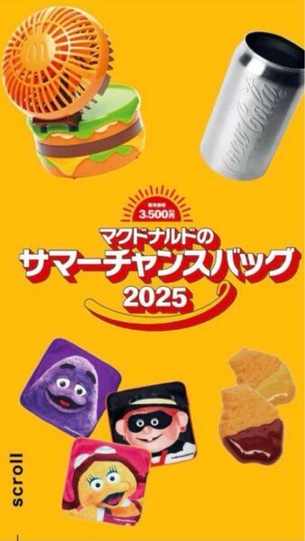 マクドナルド サマーチャンスバッグ2025 ビックマックファン他