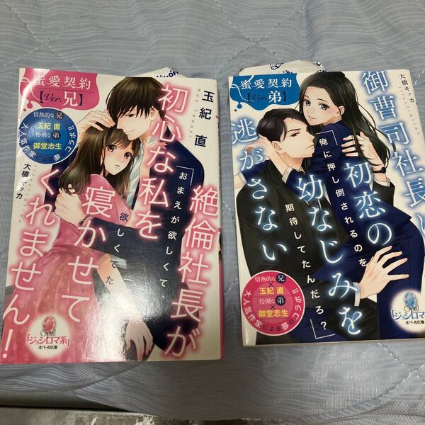 絶倫社長が初心な私を寝かせてくれません! 蜜愛契約 Ver.兄 (オパール文庫) 玉紀直/著