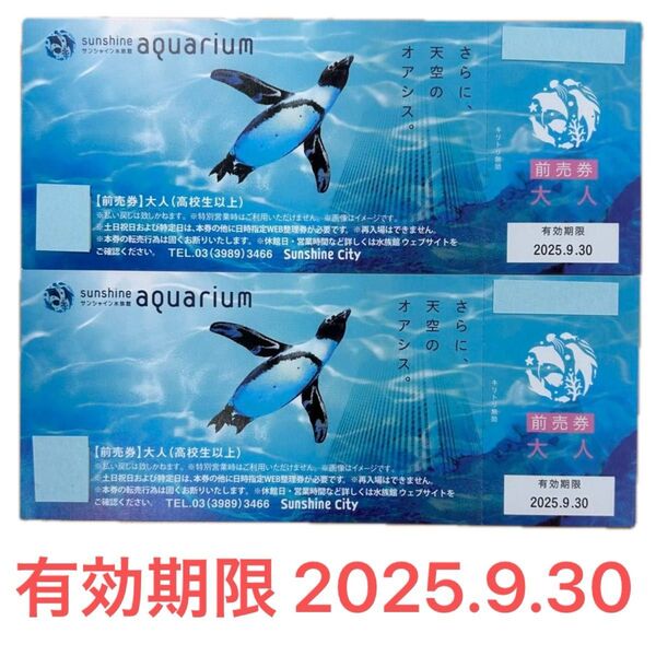 サンシャイン水族館 前売券大人(高校生以上)2枚☆