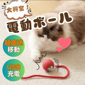 キャット ボール 充電式 猫 犬 おもちゃ 電動 自動で動く 賢く 遊ぶ RED 猫じゃらし 光る 自動回転 しっぽ 赤 ねこ