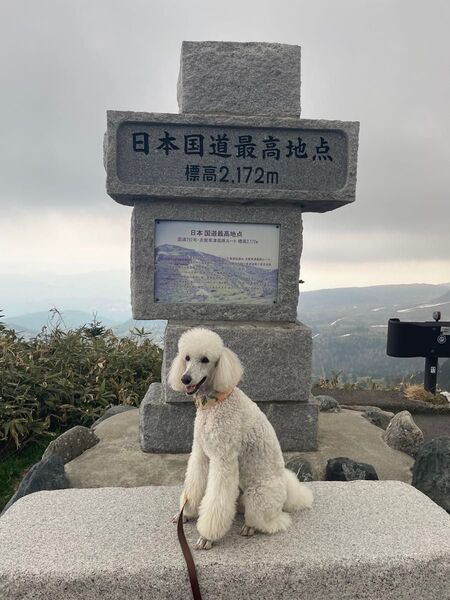 日本国道最高地点 標識 写真