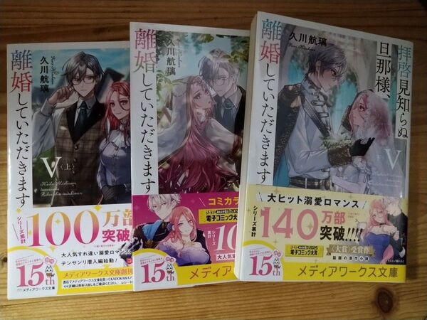 拝啓見知らぬ旦那様、離婚していただきます 5 上中下 (メディアワークス文庫 ひ7-9) 久川航璃/〔著〕