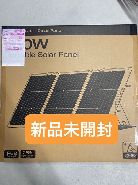 EcoFlow 160W片面ソーラーパネルGen2 ソーラーチャージャー エコフロー