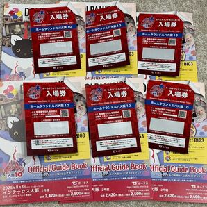 未削り 6冊 ホームタウンドルパ 大阪10 公式ガイドブック 抜き取り無し ボークス ドールズパーティ 入場券 インテックス大阪