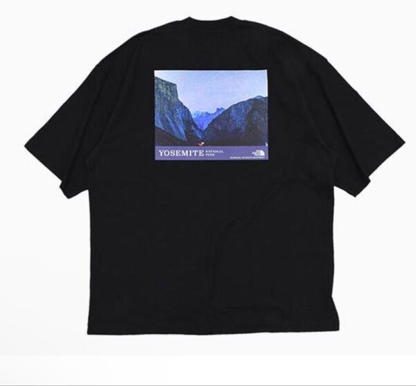 ザ・ノース・フェイス Tシャツ 半袖 THE NORTH FACE メンズ ヨセミテ yosemite lサイズ ブラック