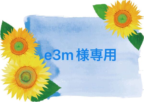 専用☆Wishing Wingsエコバッグ風トート&ポーチ