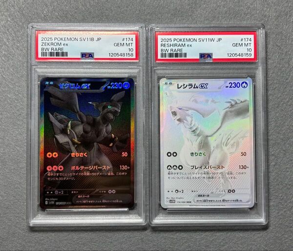 ポケモンカードゲーム SV11B ゼクロムex SAR レシラムex SAR PSA10 連番セット