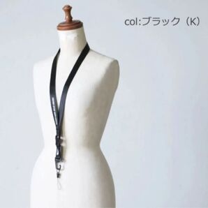 未使用 国内正規品 ザノースフェイス LANYARD ランヤード カラビナ ネックストラップ アウトドア