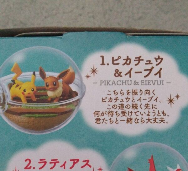 ポケットモンスター テラリウムコレクション13 1ピカチュウ&イーブイ