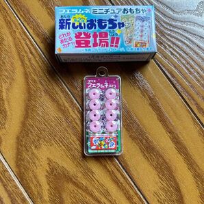 フエラムネ ミニチュアおもちゃ ぶどう