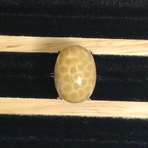 ④ 希少 フォッシルコーラル リング 指輪 天然石 アクセサリー シルバー フリーサイズ