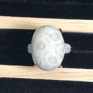 ③ 希少 フォッシルコーラル リング 指輪 ホワイト 化石珊瑚 アクセサリー シルバー SILVER 天然石