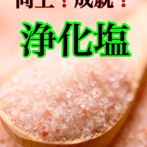 祈祷による浄化塩で恋愛運恋愛力を上げ貴方様の願いを叶えるサポートをする為の御守り