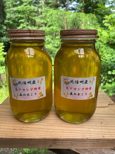 令和7年新蜜 生アカシア蜂蜜1本1200g2本セット 森の木こりが北信州の高原で丁寧に採蜜した非加熱無添加の生アカシア蜂蜜をお届け