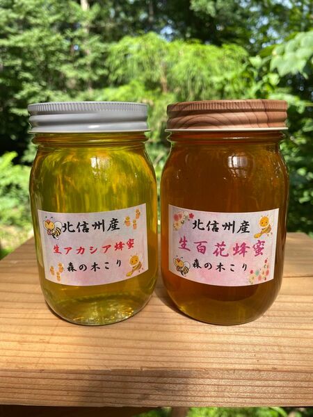 令和7年新蜜生アカシア蜜1本 600g生百花蜜1本 600gセット森の木こりが北信州の高原で丁寧に採蜜した非加熱無添加の生蜂蜜です