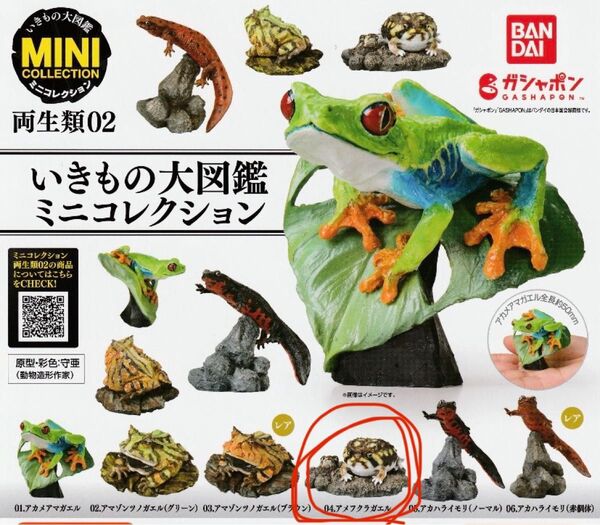 いきもの大図鑑ミニコレクション 両生類02 アメフクラガエル 蛙 カエル ガチャ ガシャポン カプセルトイ フィギュア