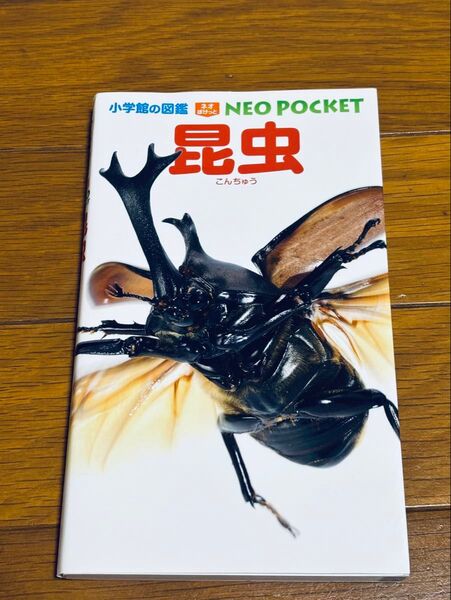小学館の図鑑NEO POCKET 昆虫 こんちゅう