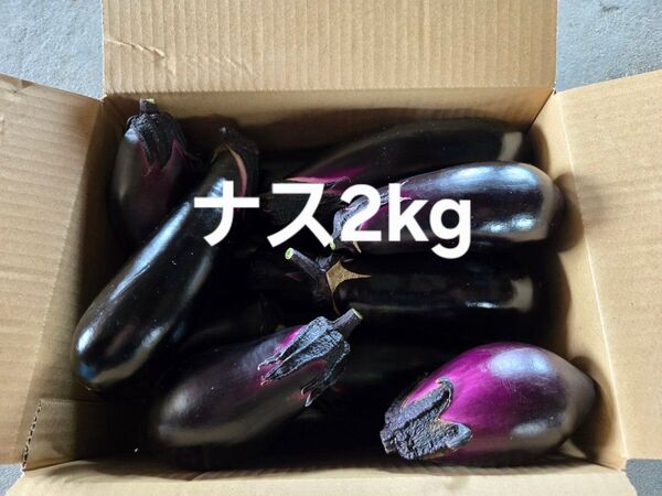 朝採りナス 茄子2kg 農家直送 7