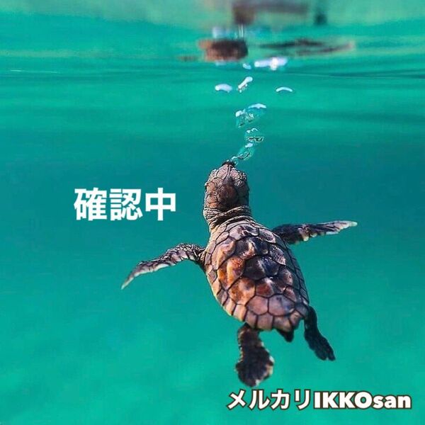 専用 大きいサイズ メンズ ノースリーブ スリーブレスTシャツ タンクトップ 3XL 黒 タンクトップ