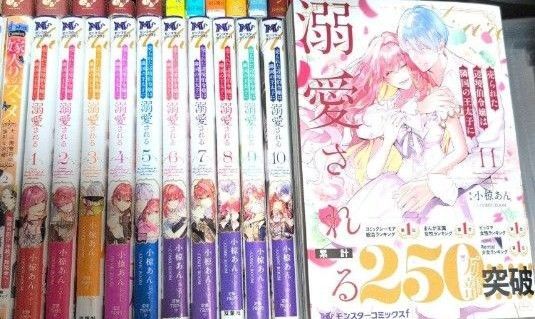 売られた辺境伯令嬢は隣国の王太子に溺愛される 1-11