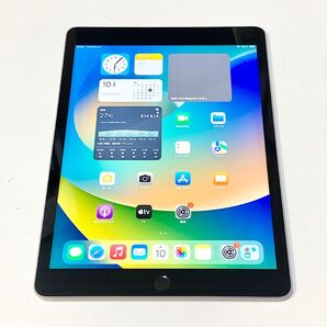 バッテリー100%★iPad 第9世代 10.2 64GB シルバー Wi-Fi + Cellular 新品同様の超美品
