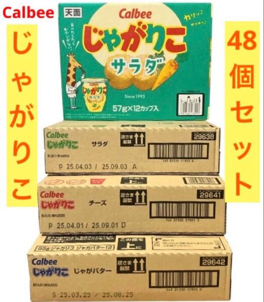 カルビー じゃがりこ 3種 4箱48個 まとめ売り お菓子 大容量
