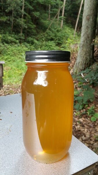 はちみつ 2kg 国産 天然 純粋 非加熱 生蜂蜜 2025年6月新蜜 【養蜂家直送】