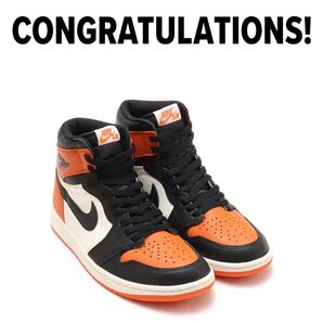 Jordan 1 high shattered backboard 26.5