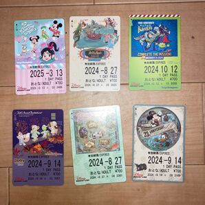 ディズニーリゾラ フリー切符