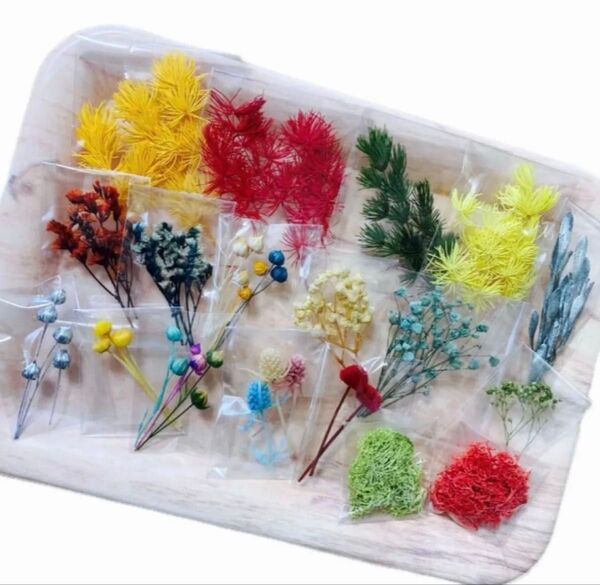小分け花材セット 71 練習用花材 A6ボックス レジン 訳あり花材 ハンドメイド ドライフラワー プリザーブドフラワー