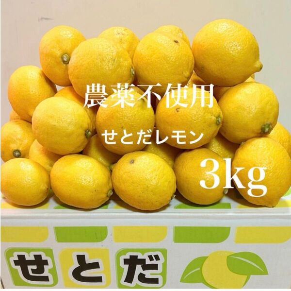 国産瀬戸田レモン3kg前後