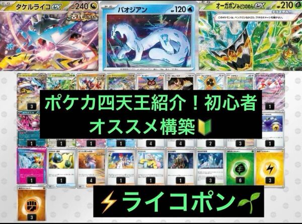 シマダダイチ選手紹介 初心者オススメ タケルライコex 構築済みデッキ ポケモンカードゲーム