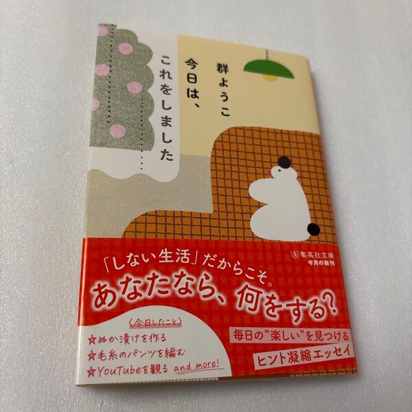 今日は、これをしました (集英社文庫 む3-18) 群ようこ/著