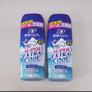 バブ 爽快シャワー スーパーエクストラクール アイスミントの香り 2個セット