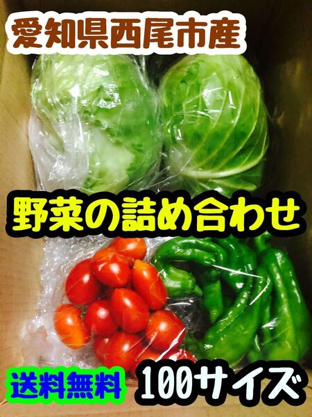 愛知県西尾市産 野菜の詰め合わせ 100サイズ 火曜/木曜/日曜日 発送