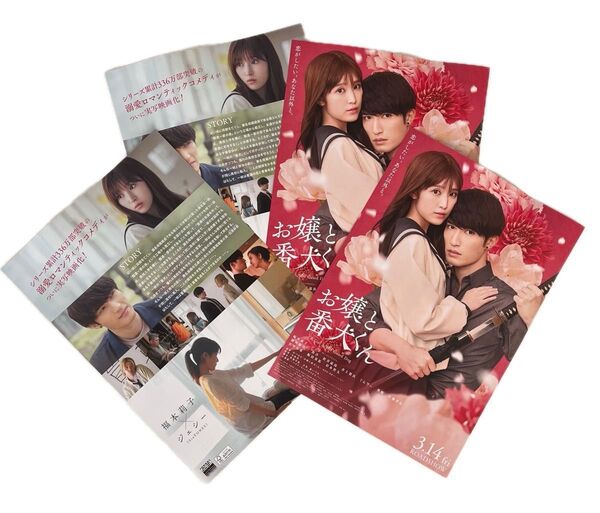 映画『お嬢と番犬くん』:Golden SixTONES/ジェシー福本莉子/チラシ・1種類/2枚&オシャレIKEAファッション