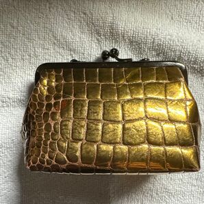 ロベルタディカメリーノ ブロンズポーチ 本革