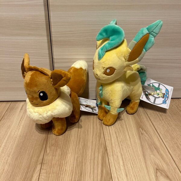 ポケモンセンター イーブイ リーフィア ぬいぐるみ セット