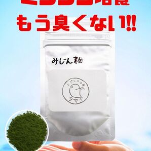 【ミジンコ工房タマミ】ミジンコ培養 みじん粉 1袋