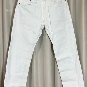 RESOLUTE AA711 10th W30 ZIP+ピスネーム カスタム